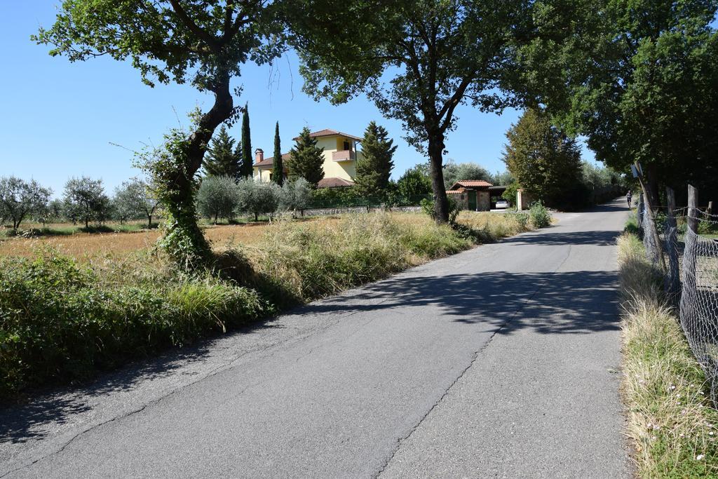 La Casa Nell'Oliveto Bed&Breakfast Acquasparta Esterno foto